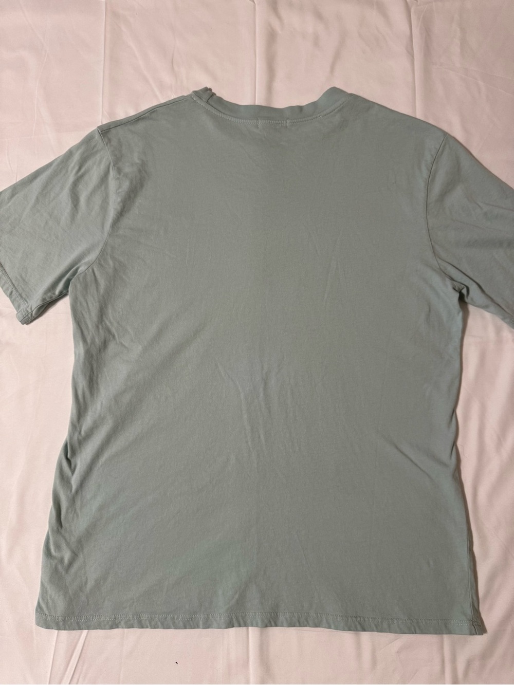 Originality “Silly Goose on the Loose" Graphic Tee - Mint - Picture 10 of 12